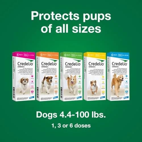 Credelio Chewable for Dogs 25.1-50 lbs | Fast-Acting Tick & Flea Protection thumbnail 9