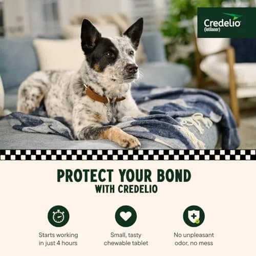 Credelio Chewable for Dogs 25.1-50 lbs | Fast-Acting Tick & Flea Protection thumbnail 2