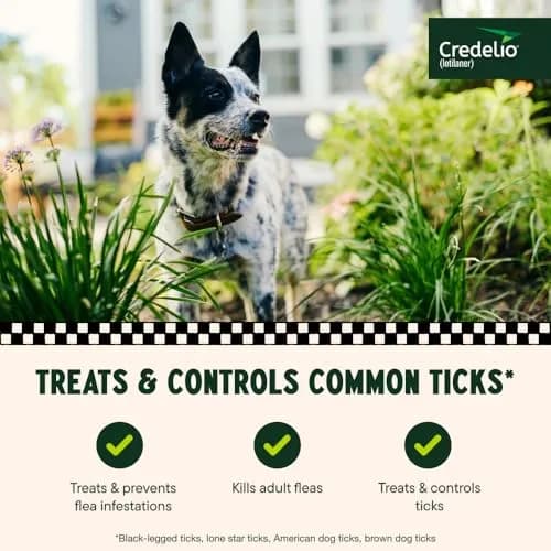 Credelio Chewable for Dogs 25.1-50 lbs | Fast-Acting Tick & Flea Protection thumbnail 3