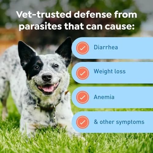 Interceptor Plus Monthly Tablets for Dogs 25.1-50 lbs. | 5-in-1 Heartworm & Worm Protection thumbnail 6