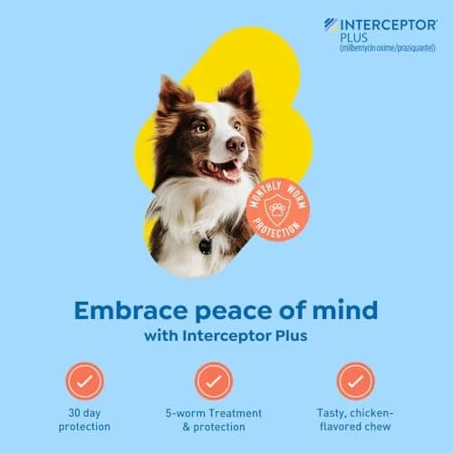 Interceptor Plus Monthly Tablets for Dogs 25.1-50 lbs. | 5-in-1 Heartworm & Worm Protection thumbnail 2