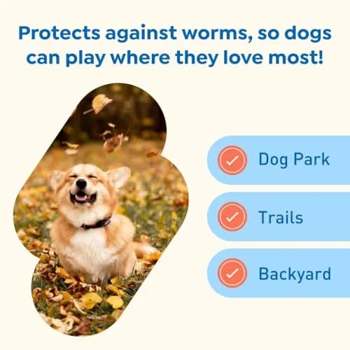 Interceptor Plus Monthly Tablets for Dogs 8.1-25 lbs. | Heartworm & Worm Protection (110 characters) thumbnail 5