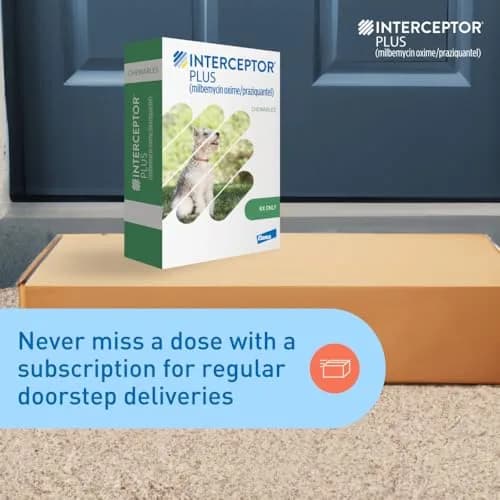Interceptor Plus Monthly Tablets for Dogs 8.1-25 lbs. | Heartworm & Worm Protection (110 characters) thumbnail 7