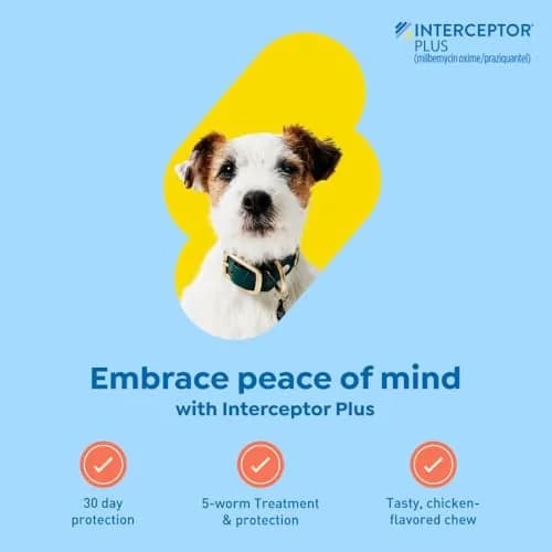 Interceptor Plus Monthly Tablets for Dogs 8.1-25 lbs. | Heartworm & Worm Protection (110 characters) thumbnail 2