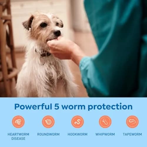 Interceptor Plus Monthly Tablets for Dogs 8.1-25 lbs. | Heartworm & Worm Protection (110 characters) thumbnail 3