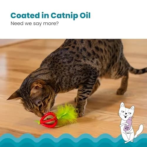 Catstages Dental Strawberry Teether Cat Chew Toy with Catnip, 4" | Helps Keep Teeth Clean thumbnail 4