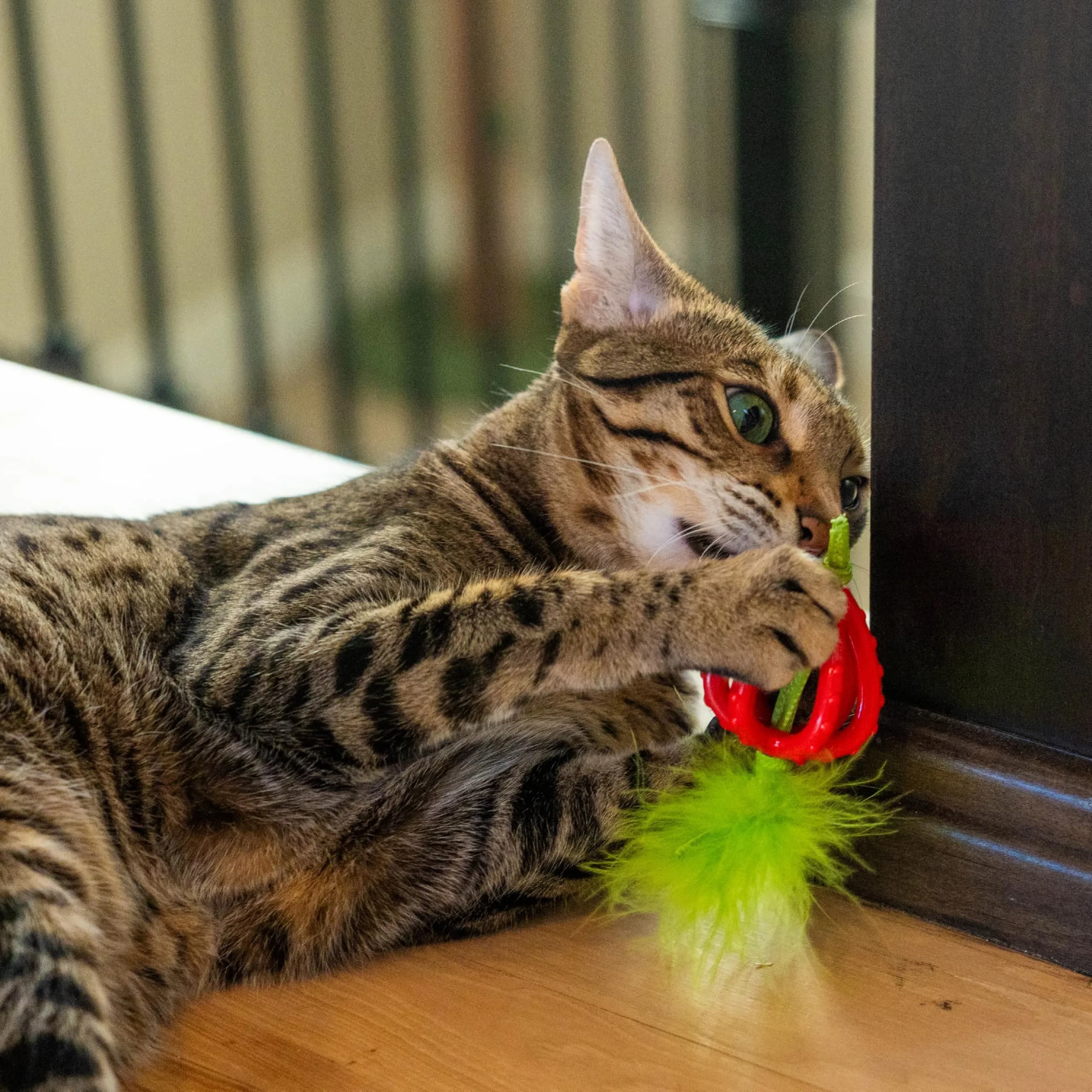 Catstages Dental Strawberry Teether Cat Chew Toy with Catnip, 4" | Helps Keep Teeth Clean - view 6