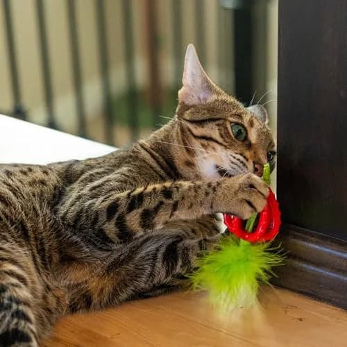 Catstages Dental Strawberry Teether Cat Chew Toy with Catnip, 4" | Helps Keep Teeth Clean thumbnail 6