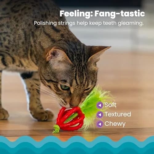 Catstages Dental Strawberry Teether Cat Chew Toy with Catnip, 4" | Helps Keep Teeth Clean thumbnail 3