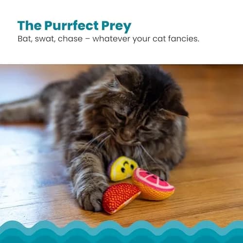 Catstages Dental Fruit Wedges Catnip Chew Toys 5.3" (13.5cm) 4-Pack | Textured Dental Mesh for Teeth Cleaning thumbnail 4