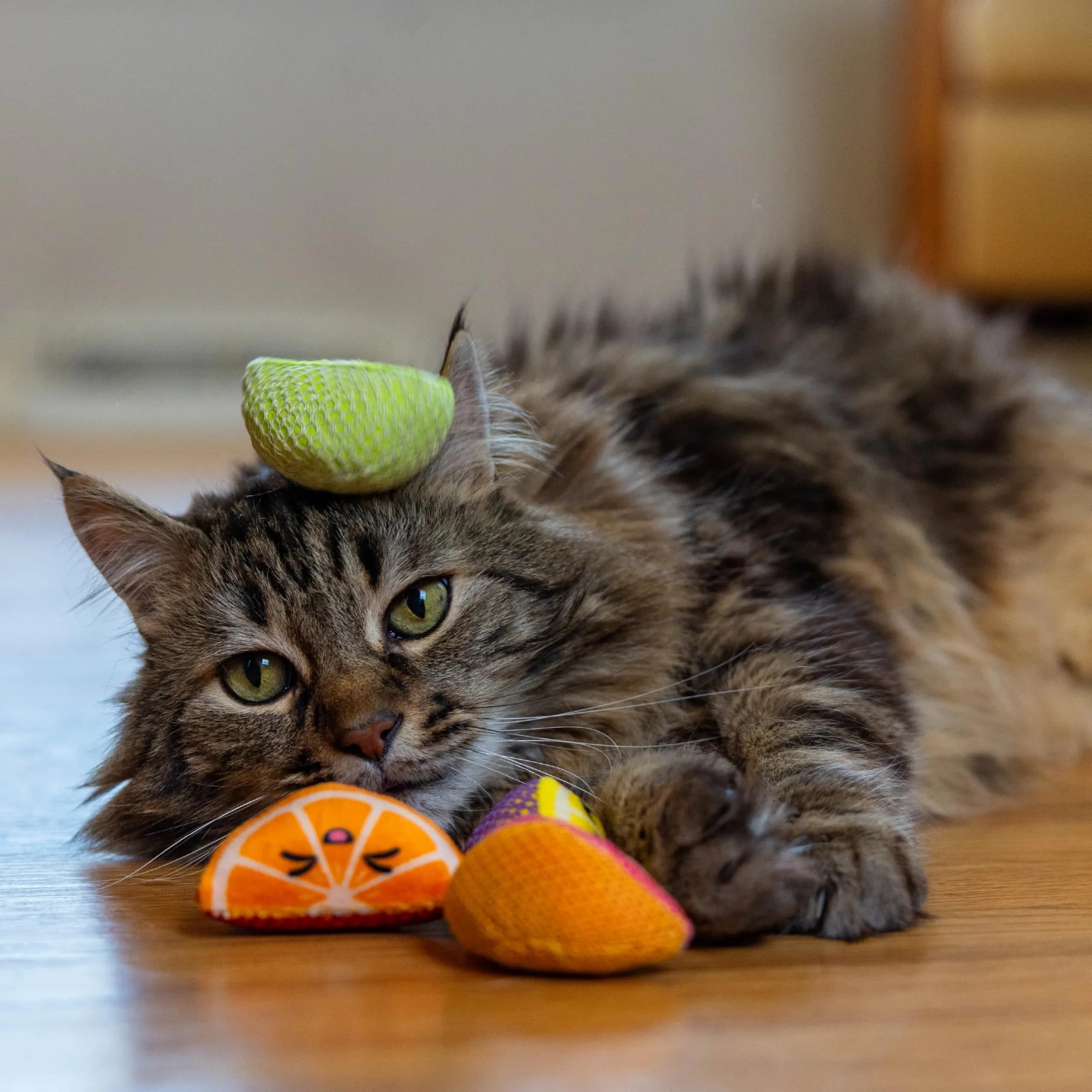 Catstages Dental Fruit Wedges Catnip Chew Toys 5.3" (13.5cm) 4-Pack | Textured Dental Mesh for Teeth Cleaning - view 6