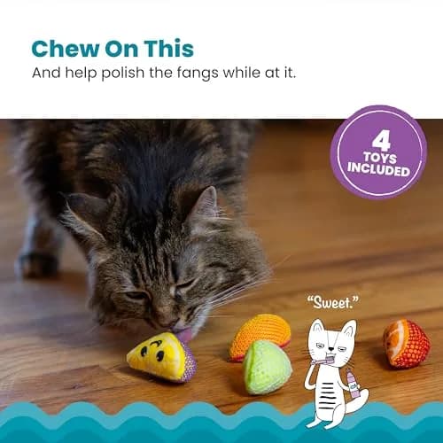 Catstages Dental Fruit Wedges Catnip Chew Toys 5.3" (13.5cm) 4-Pack | Textured Dental Mesh for Teeth Cleaning thumbnail 2