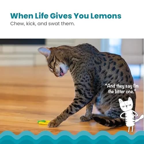 Catstages Dental Lemon Teether Interactive Chew Cat Toy with Catnip, 2.4" | Soft & Multi-Textured, Helps Keep Teeth Clean, Massages Gums, Catnip Oil Coating, Bat & Carry, Enrichment for Cats & Kittens thumbnail 2