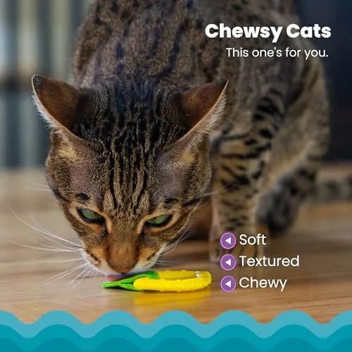 Catstages Dental Lemon Teether Interactive Chew Cat Toy with Catnip, 2.4" | Soft & Multi-Textured, Helps Keep Teeth Clean, Massages Gums, Catnip Oil Coating, Bat & Carry, Enrichment for Cats & Kittens thumbnail 3