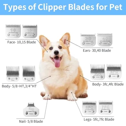 MEMIRY Size 10 Detachable Dog Grooming Blades 1.5mm (1/16") | Compatible with Andis, Oster A5, Wahl KM10 Clippers thumbnail 6