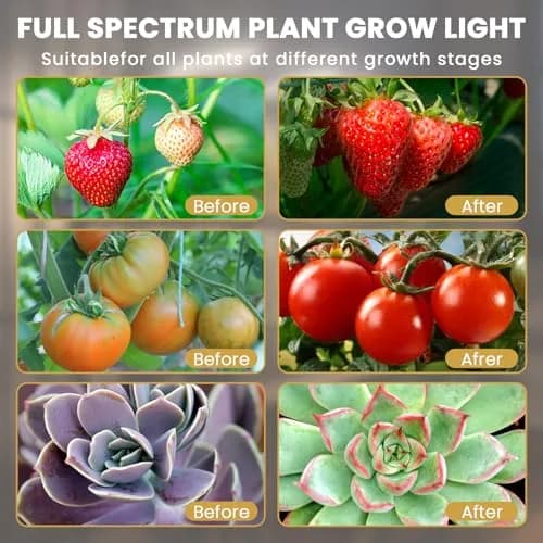Bseah Full Spectrum LED Grow Light 2 Pack | 3-Head Clip-On with Timer & Dimmable Brightness thumbnail 5