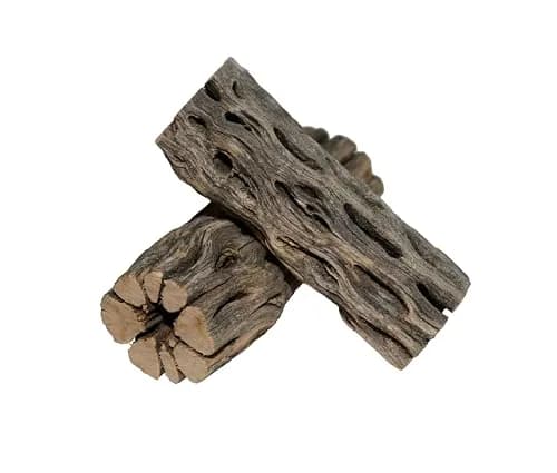 SoShrimp Natural Cholla Wood for Aquarium Decoration 20.32 cm (8 Inch) 2-Pack | Natural Aesthetic Appeal thumbnail 1