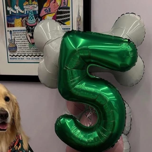 Kelfuoya Green Number 5 Balloon 40 Inch | Premium Mylar Foil for Birthday Parties - view 3