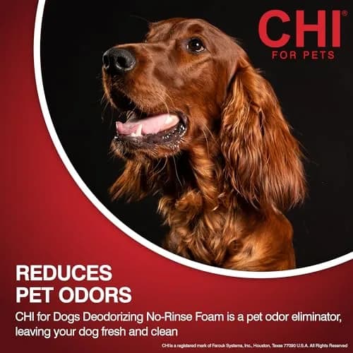 CHI for Dogs Deodorizing Waterless Foam Wash 8 Oz | No-Rinse, pH Balanced, Made in USA thumbnail 3