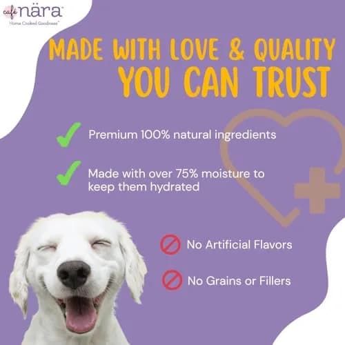 Cafe Nara Chicken Flavored Lickable Treats for Dogs - Pack of 6 | Moist, Protein-Rich, Suitable for Sensitive Stomachs thumbnail 7