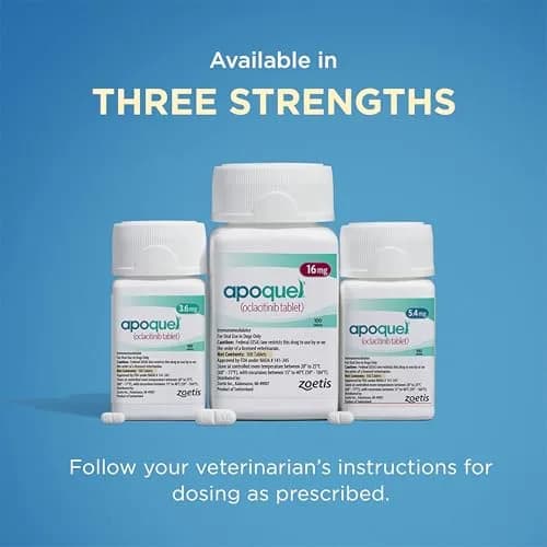 Apoquel 3.6 mg | Fast-Relief Anti-Itch Tablets for Dogs (enables Indian pet owners) thumbnail 9