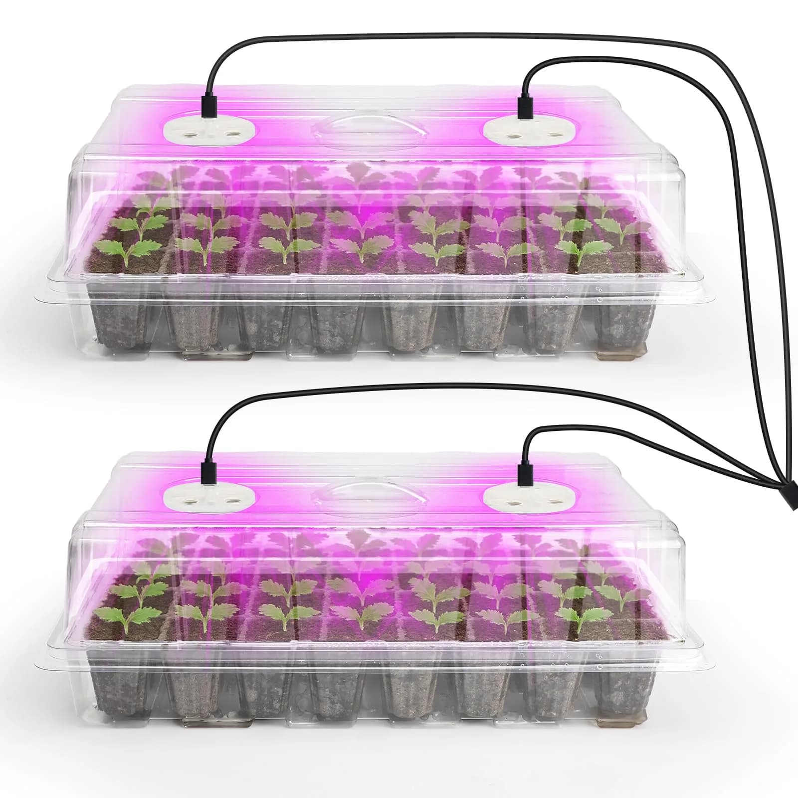 Bonviee Seed Starter Trays with Grow Lights, 80 Cells, 2 Pack | Indoor Germination Kit with Adjustable LED Vents