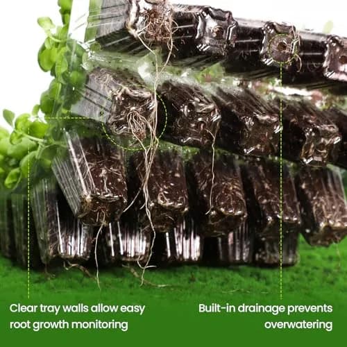 Bonviee Seed Starter Trays with Grow Lights, 80 Cells, 2 Pack | Indoor Germination Kit with Adjustable LED Vents thumbnail 5