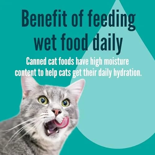 Strongheart Adult Cat Pate Special Supper Dinner 13.2oz | Complete & Balanced Nutrition thumbnail 4