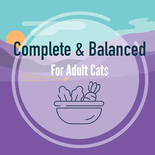 Strongheart Adult Cat Pate Special Supper Dinner 13.2oz | Complete & Balanced Nutrition thumbnail 7