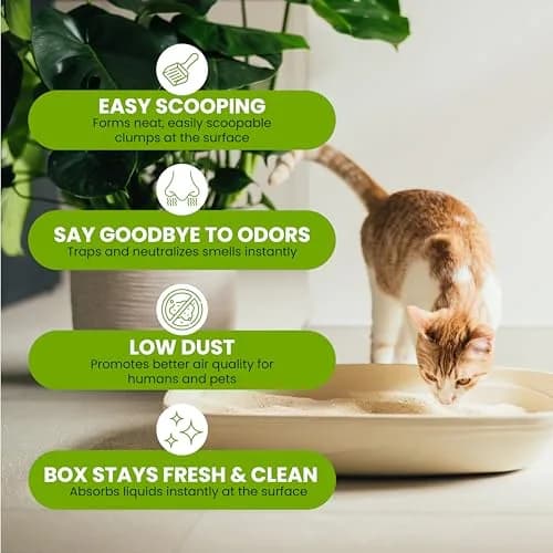 almo nature Natural Plant-Based Clumping Cat Litter 4.54 kg (10 lb) Pack of 2 | Biodegradable Odor Control thumbnail 5