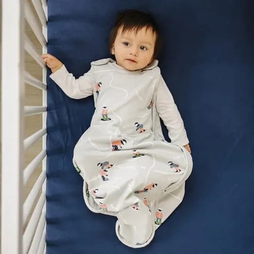 Woolino Toddler Sleeping Sack, 4 Season, Merino Wool & Organic Cotton, Baby Sleep Bag, 2-4 Years, Snowboarder thumbnail 2