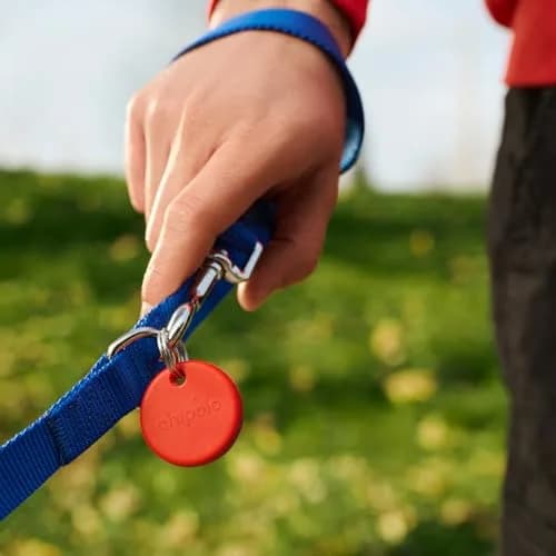 Chipolo POP Tracker Tag - Colorful, Loud Bluetooth Finder for iOS & Android thumbnail 9