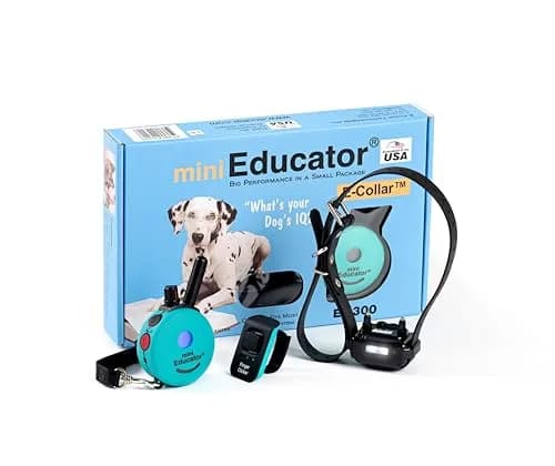 Mini Educator ET-300 Teal Remote Dog Training Collar | 1 Dog, 100 Levels, Vibration & Tone thumbnail 1