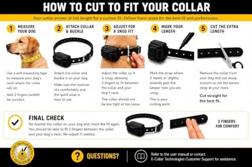 Mini Educator ET-300 Teal Remote Dog Training Collar | 1 Dog, 100 Levels, Vibration & Tone thumbnail 8