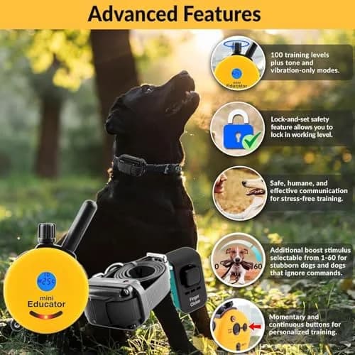 Mini Educator ET-300 Teal Remote Dog Training Collar | 1 Dog, 100 Levels, Vibration & Tone thumbnail 2