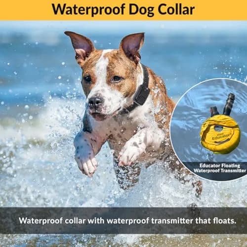 Mini Educator ET-300 Green Animal Collar | 1/2 Mile Range, Humane Vibration & Tone thumbnail 5