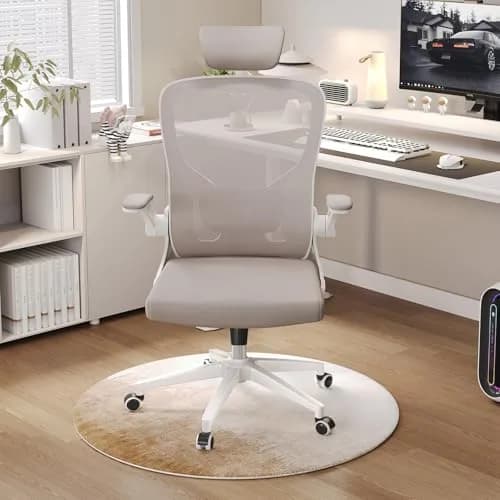 SICHY AGE High Back Mesh Office Chair with Adjustable Lumbar Support & Flip-Up Armrests | 24.59in x 20in x 49.2in thumbnail 4