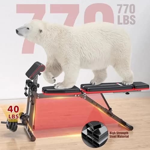 XDDIAS Adjustable Weight Bench with Leg Extension & Preacher Curl Pad | Foldable Home Gym Equipment Support up to 770 lbs thumbnail 4