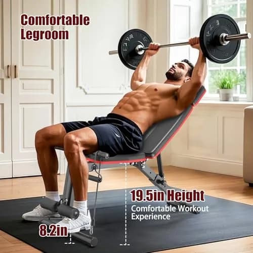 XDDIAS Adjustable Weight Bench with Leg Extension & Preacher Curl Pad | Foldable Home Gym Equipment Support up to 770 lbs thumbnail 5