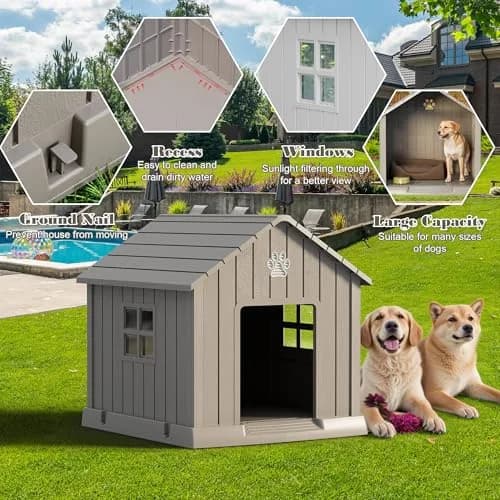 Fancyango Dog House Outdoor Indoor | Waterproof, Ventilated, Easy to Clean, Elevated Floor for Small-Medium Dogs thumbnail 4