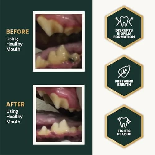 VetriScience Dental Care Powder for Dogs and Cats 2 X 4.2 Oz | Clinically Tested Oral Support thumbnail 3