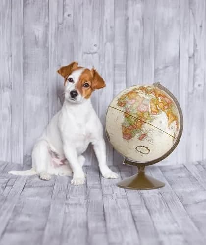 Replogle Franklin World Globe 12" Diameter Raised Relief Antique Ocean | U.S. Cartography thumbnail 9