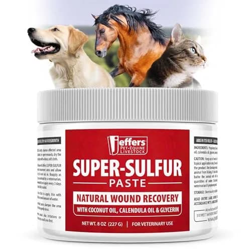 Jeffers Super Sulfur Natural Healing Paste for Dogs, Cats & Horses 8 oz | Wound Care & Skin Support thumbnail 1