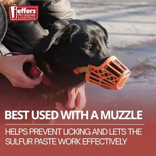 Jeffers Super Sulfur Natural Healing Paste for Dogs, Cats & Horses 8 oz | Wound Care & Skin Support thumbnail 5