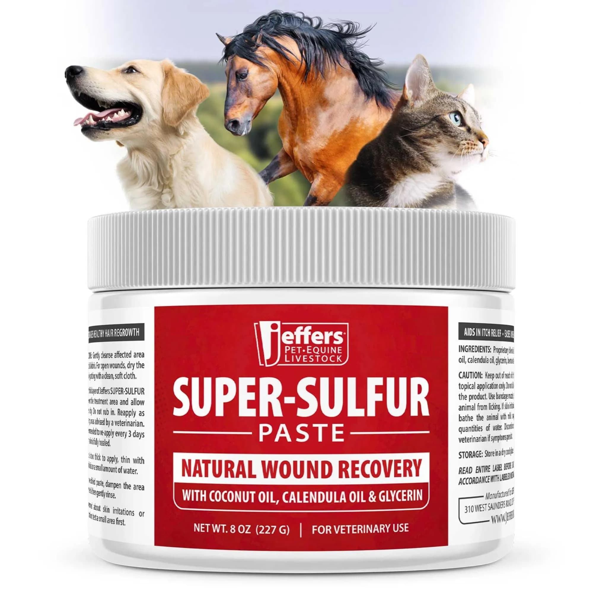 Jeffers Super Sulfur Natural Healing Paste for Dogs, Cats & Horses 8 oz | Wound Care & Skin Support
