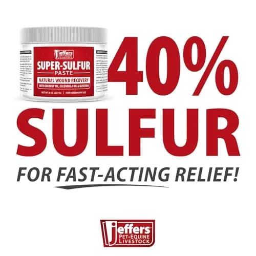 Jeffers Super Sulfur Natural Healing Paste for Dogs, Cats & Horses 8 oz | Wound Care & Skin Support thumbnail 8
