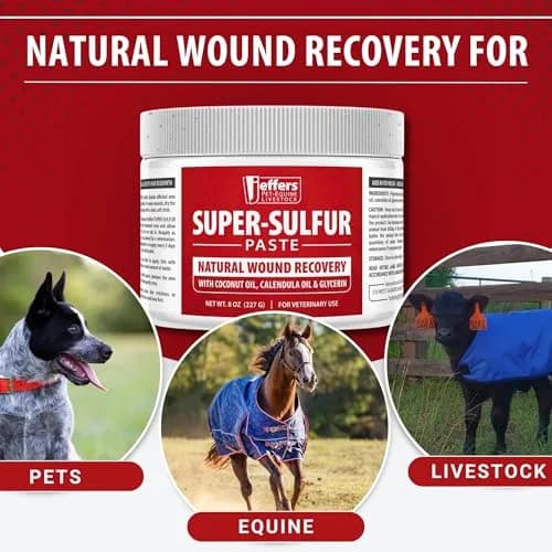 Jeffers Super Sulfur Natural Healing Paste for Dogs, Cats & Horses 8 oz | Wound Care & Skin Support thumbnail 4