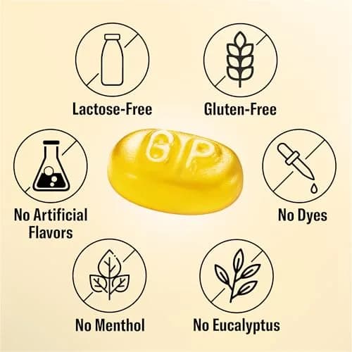 GRETHER'S Sugarfree Ginger Lemon Pastilles 3.75 oz | Swiss Sugar-Free Throat Lozenges for Dry Mouth & Voice thumbnail 4