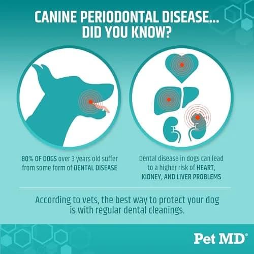 Pet MD Pet Dental Finger Wipes for Dogs - Fresh Apple & Mint Flavor - 50ct | Gentle, Effective Oral Hygiene Support thumbnail 3