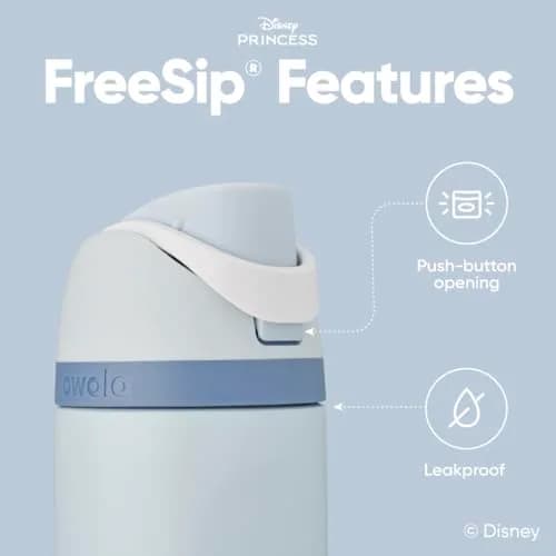 Owala Princess FreeSip Stainless Steel Water Bottle 24 oz Cinderella | Disney Princess Hydration thumbnail 4